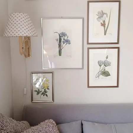 Authentic House Small, Bright And Calm Apartment *