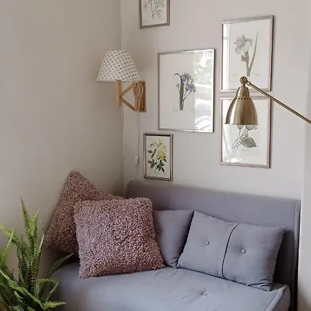 Authentic House Small, Bright And Calm